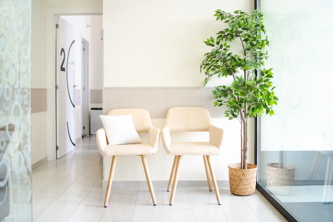 Two cream upholstered chairs and a potted fig tree by a window in a bright clinic waiting area, typical of buildings on a recurring janitorial program in Encinitas, CA