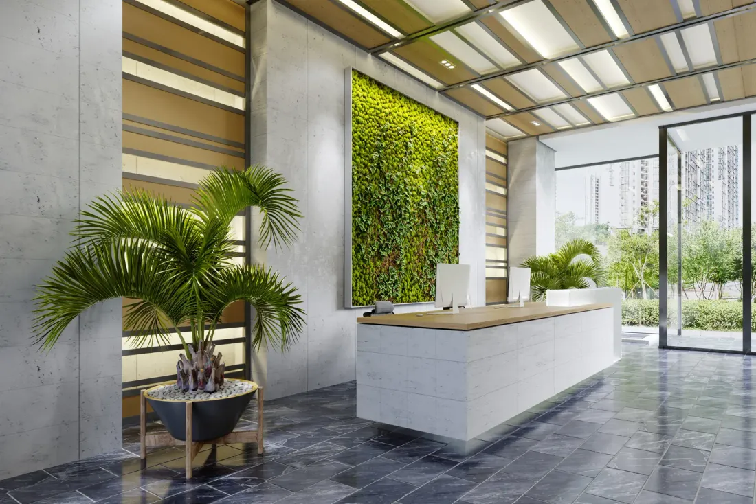 A white reception desk in front of a living green wall, with a potted palm, wood-slat ceiling panels and grey stone floor tiles, like the offices EBS cleans for tenants in Diamond Bar, CA