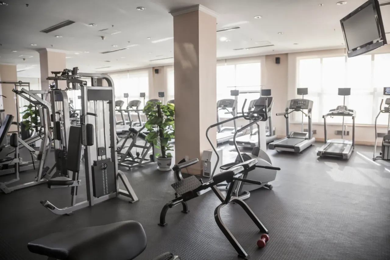 A gym with grey strength machines, treadmills and potted plants along a wall of windows, for the EBS guide "How Is a Stadium Cleaned After an Event?"